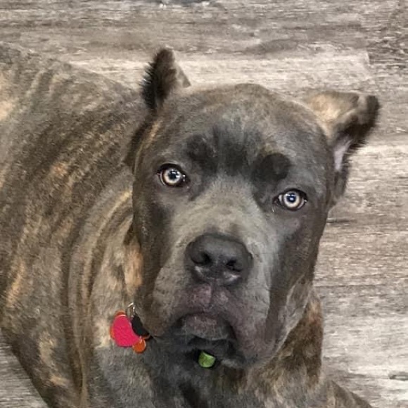 Meet your Posher, Jessica - Picture 1 of 1